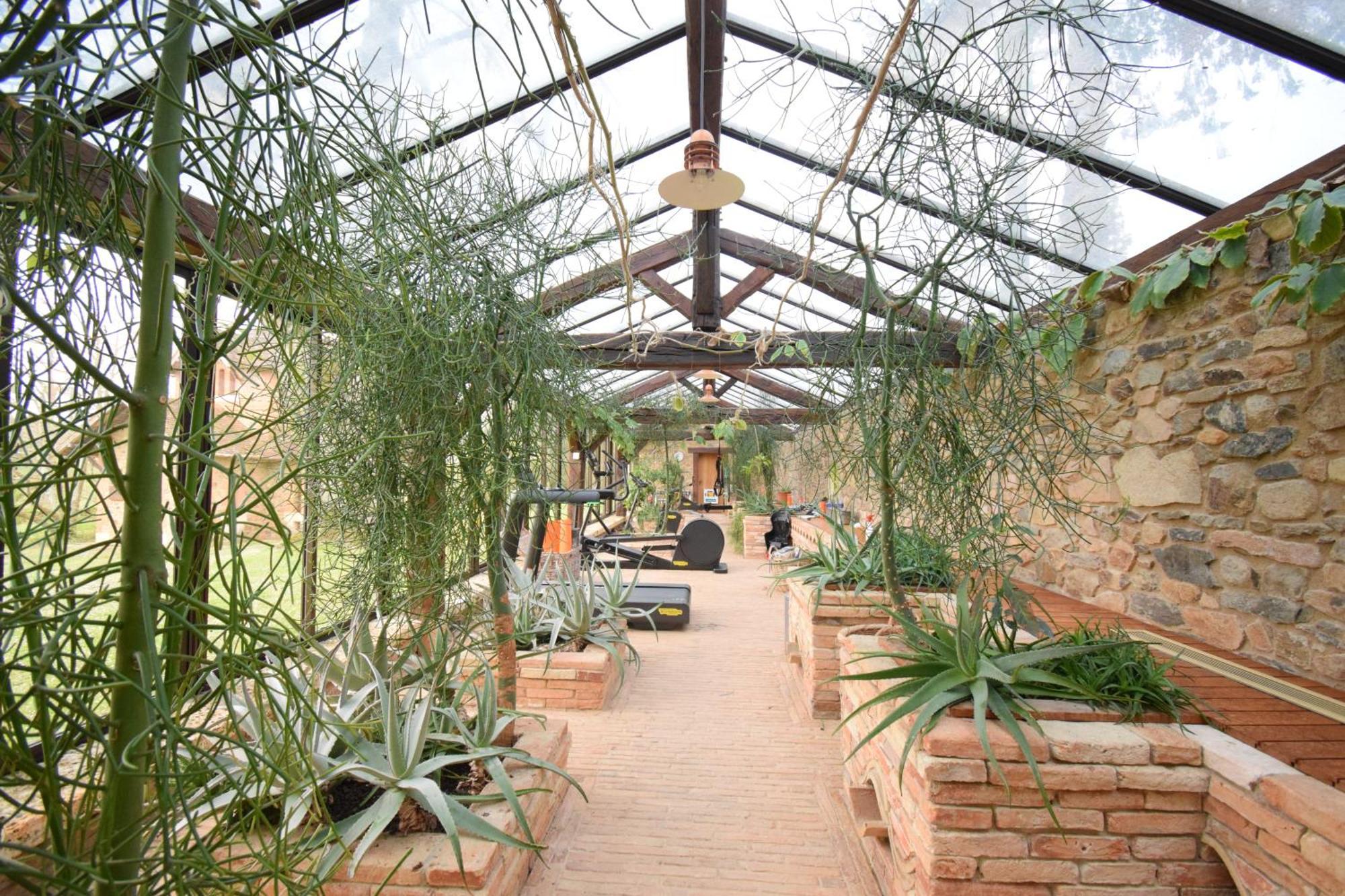 Domaine Des Etangs, Collection Massignac